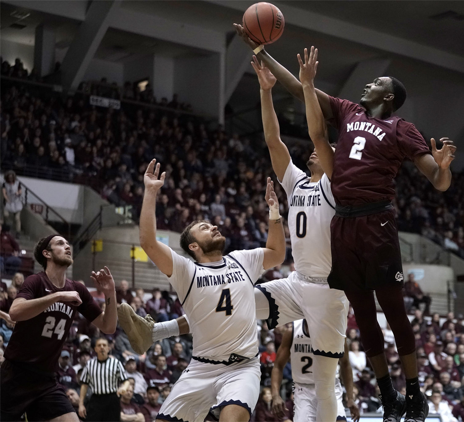 Griz v Cats-7-tm.jpg